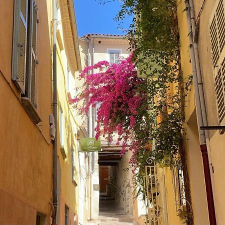 Appartement Palmiers, Coeur De Ville Sur Le Parcours Des Arts Hyères Esterno foto